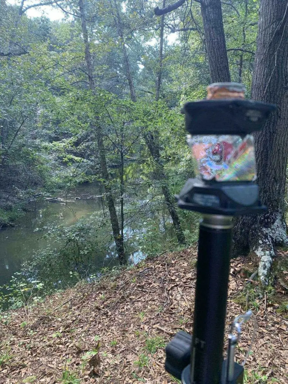 Camera tripod near a forested riverbank.
